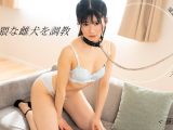 卑猥な雌犬を調教 藤野りん